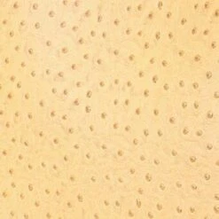 ALEC BAG | WALNUT OSTRICH EMBOSSED 5 ALEC BAG | WALNUT OSTRICH EMBOSSED -Staud Store STAUD ALEC BAG WALNUT FALL 23 ECOM 2 8b897917 6510 44e2 a975 610f70a71632