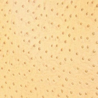 ALEC BAG | WALNUT OSTRICH EMBOSSED ALEC BAG | WALNUT OSTRICH EMBOSSED -Staud Store STAUD ALEC BAG WALNUT FALL 23 ECOM 2 8b897917 6510 44e2 a975 610f70a71632