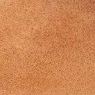 BRIGITTE MULE | TAN SUEDE BRIGITTE MULE | TAN SUEDE -Staud Store STAUD BRIGITTE MULE TAN SUPF 23 ECOM 4 ef922162 9a4a 4981 a3aa 5c88d50d99ac