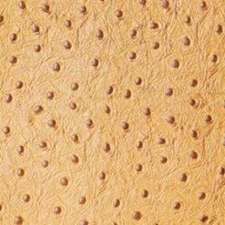 SHIRLEY LEATHER BAG | WALNUT OSTRICH EMBOSSED 8 SHIRLEY LEATHER BAG | WALNUT OSTRICH EMBOSSED -Staud Store STAUD SHIRLEYLEATHER TOTE WALNUT FALL 23 ECOM 1 442f47f3 20ad 4869 b5ab e9da76c2f7a5