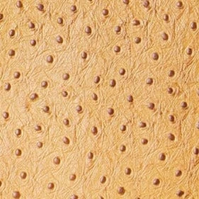 SHIRLEY LEATHER BAG | WALNUT OSTRICH EMBOSSED SHIRLEY LEATHER BAG | WALNUT OSTRICH EMBOSSED -Staud Store STAUD SHIRLEYLEATHER TOTE WALNUT FALL 23 ECOM 1 442f47f3 20ad 4869 b5ab e9da76c2f7a5