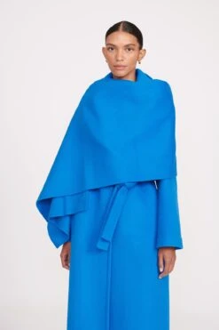 CARVER COAT | DIRECTOR BLUE -Staud Store fall 23 1600 web